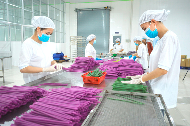 Phân loại ống hút, khâu mất thời gian nhất trong quy trình sản xuất